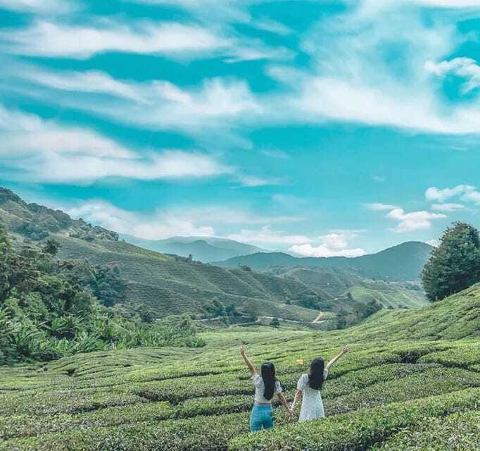 From Kuala Lumpur: Cameron Highlands Day Trip with Transfers - Bharat Tea Farm: where the day turns from scenic to hands-on