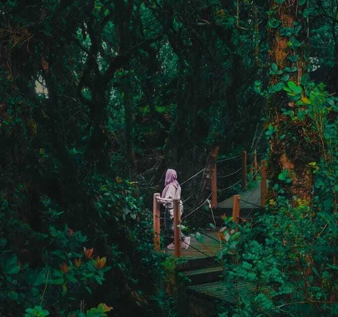 From Kuala Lumpur: Cameron Highlands Day Trip with Transfers - Butterfly Park and honey bee farm: small nature, big attention