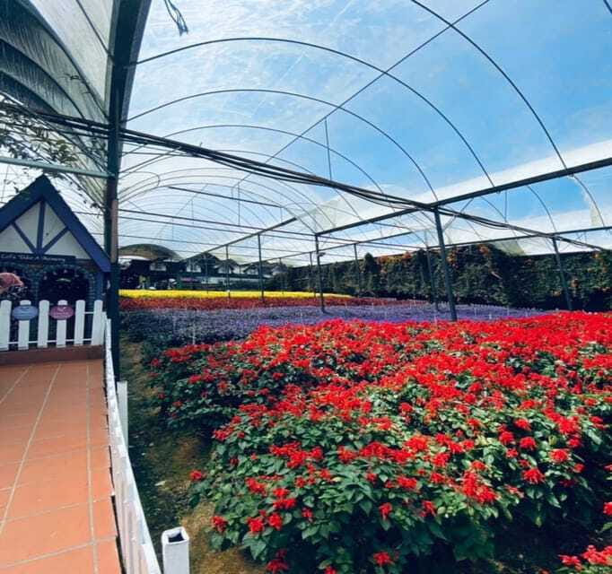 From Kuala Lumpur: Cameron Highlands Day Trip with Transfers - What to bring and how to follow the no-touch rules