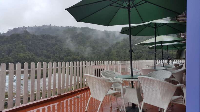 From Kuala Lumpur: Cameron Highlands Full-Day Tour - Lata Iskandar waterfall: a calm rainforest reset