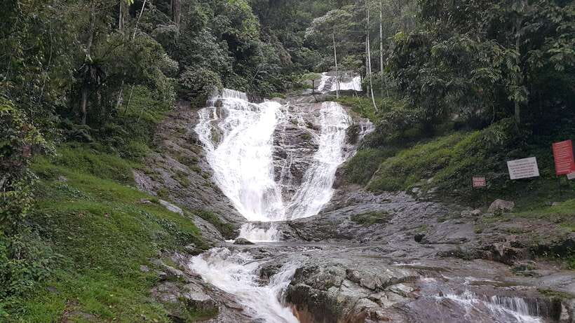 From Kuala Lumpur: Cameron Highlands Full-Day Tour - The Aboriginal Village stop: Orang Asli culture and the blowpipe demo