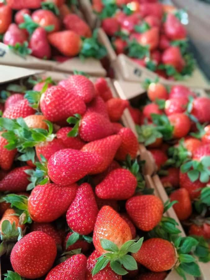 From Kuala Lumpur: Cameron Highlands Private or Join In Tour - Key Highlights You’ll Feel in This Day