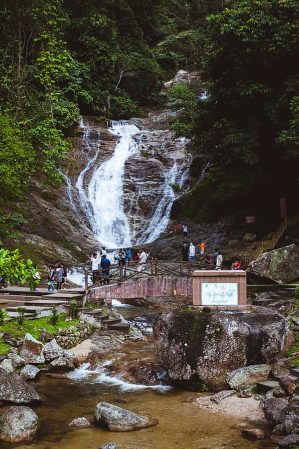 From Kuala Lumpur: Cameron Highlands Private or Join In Tour - Who This Tour Suits Best (And Who Might Want to Adjust Expectations)