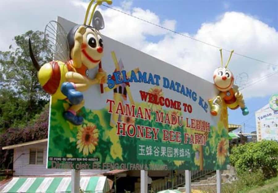 From Kuala Lumpur: Cameron Highlands Private or Join In Tour - What to Bring So the Day Feels Easy
