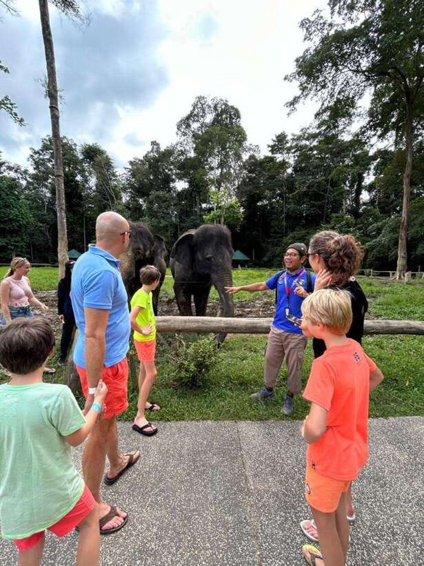 From Kuala Lumpur: Elephant Sanctuary Guided Tour - Kuala Gandah Elephant Sanctuary: rescued elephants and a conservation-first feel