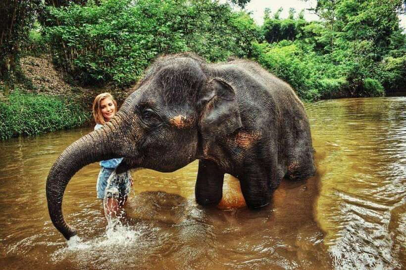 From Kuala Lumpur: Elephant Sanctuary Guided Tour - The itinerary rhythm: what those drive times mean for you