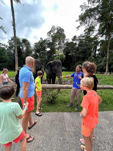 From Kuala Lumpur: Elephant Sanctuary Guided Tour - Lunch in Kuala Lumpur: included, and it breaks up the day well