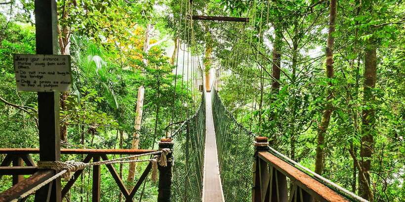 From Kuala Lumpur: Full-Day Taman Negara National Park - Kampung Kuala Tahan Lunch by the River: Your Midday Reset