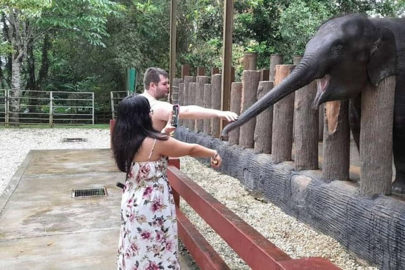 From Kuala Lumpur: Kuala Gandah & Batu Caves Day Trip - Batu Caves in a morning block: what the first hour really gives you