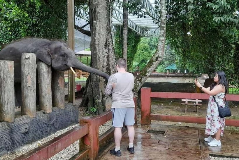 From Kuala Lumpur: Kuala Gandah & Batu Caves Day Trip - How the 6-hour pace works from Kuala Lumpur (and why it’s a good fit)