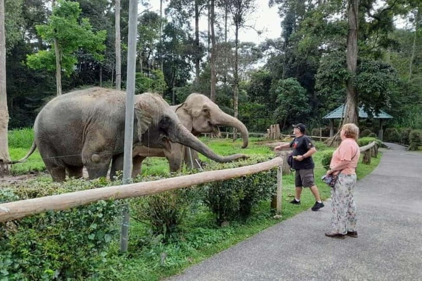 From Kuala Lumpur: Kuala Gandah & Batu Caves Day Trip - Quick reality check: the main trade-off you should respect