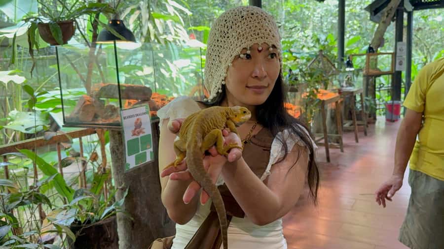 From Kuala Lumpur: Kuala Gandah Elephant Sanctuary Day Trip - Kuala Gandah National Elephant Conservation Centre: the main event