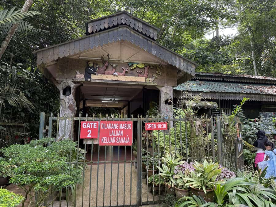 From Kuala Lumpur: Kuala Gandah Elephant Sanctuary Day Trip - Lunch and comfort breaks: simple and included, drinks are on you