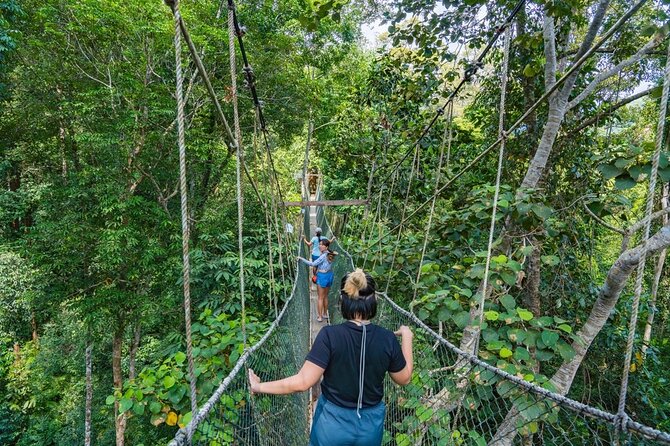 From Kuala Lumpur Taman Negara Day Trip With Lunch - Why this Taman Negara day trip starts so early from Kuala Lumpur