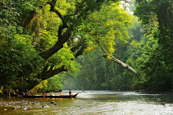 From Kuala Lumpur Taman Negara Day Trip With Lunch - Taman Negara National Park: guided nature time that actually adds up