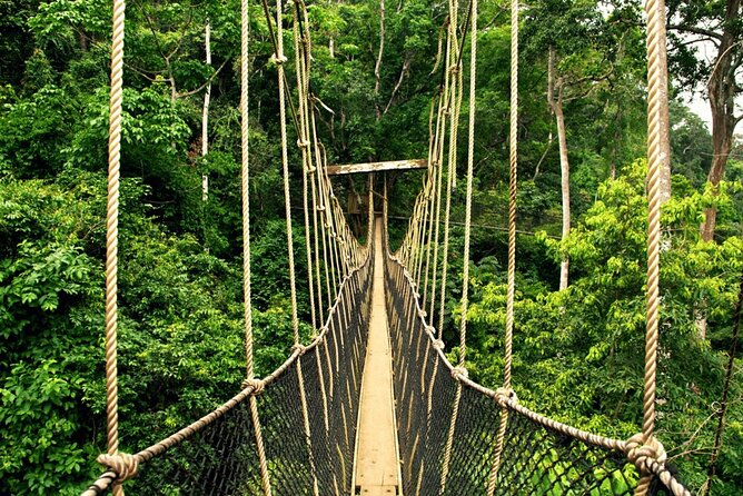From Kuala Lumpur Taman Negara Day Trip With Lunch - The day trip value: what you’re really paying for at $178 per person