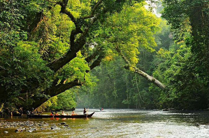 From Kuala Lumpur Taman Negara Day Trip With Lunch - Who this tour fits best (and who should think twice)