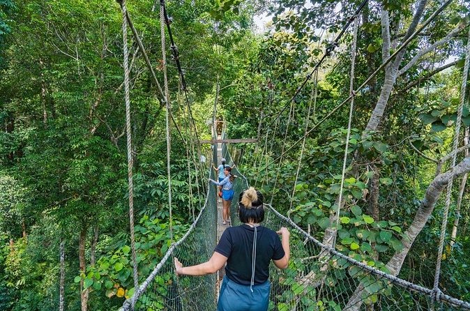 From Kuala Lumpur Taman Negara Day Trip With Lunch - Should you book this Taman Negara day trip from Kuala Lumpur?