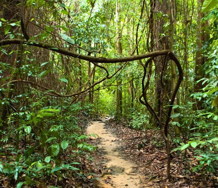 From Kuala Lumpur: Taman Negara National Park Private Tour - From Kuala Lumpur To Kuala Tahan: The Real Start Is the Road