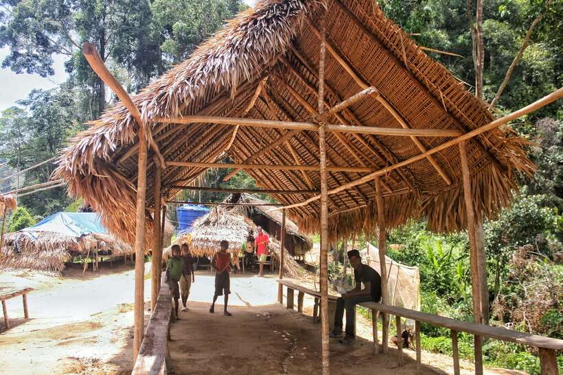 From Kuala Lumpur: Taman Negara National Park Trek Day Tour - Who this Taman Negara day tour suits best