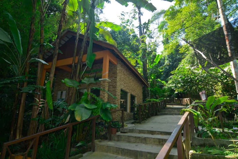 From Kuala Lumpur: Taman Negara Private Tour - First stop: Walking the Canopy Walkway above the forest floor