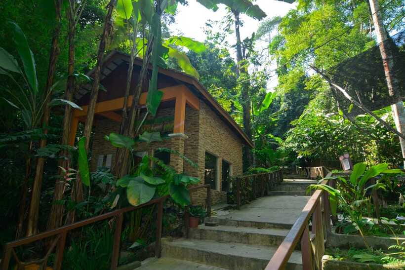 From Kuala Lumpur: Taman Negara Private Tour - Responsible travel tips that make the day better