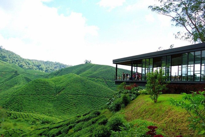 Full-day Cameron Highlands Day Trip from Kuala Lumpur - Brinchang Night Market dinner: the practical end to a big day