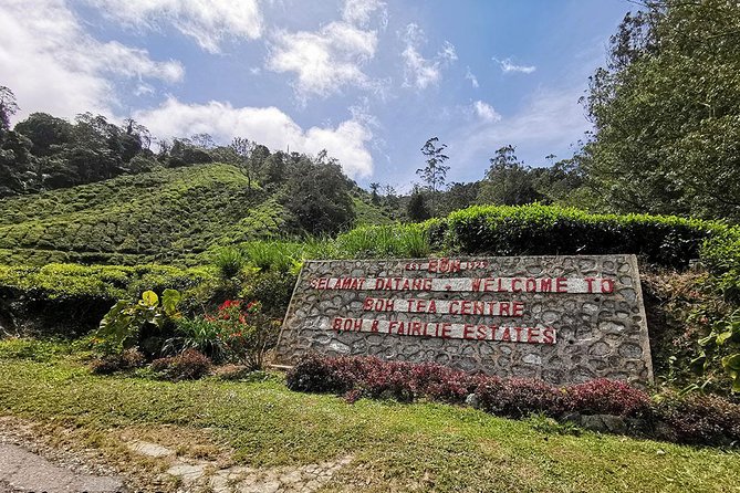 Full-day Cameron Highlands Day Trip from Kuala Lumpur - Driver quality: the biggest difference between a good and a rough day