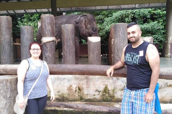 Full Day Elephant Sanctuary Tour with a Free Batu Caves Visit - Batu Caves: temples, monkeys, and how to tackle the 272 steps