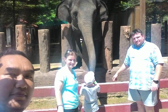 Full Day Elephant Sanctuary Tour with a Free Batu Caves Visit - Lunch and the small comforts that keep you happy all day