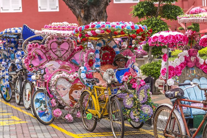 Full day in Malacca Historical Private Tour in Kuala Lumpur - Trishaw ride and walking time: what your legs need