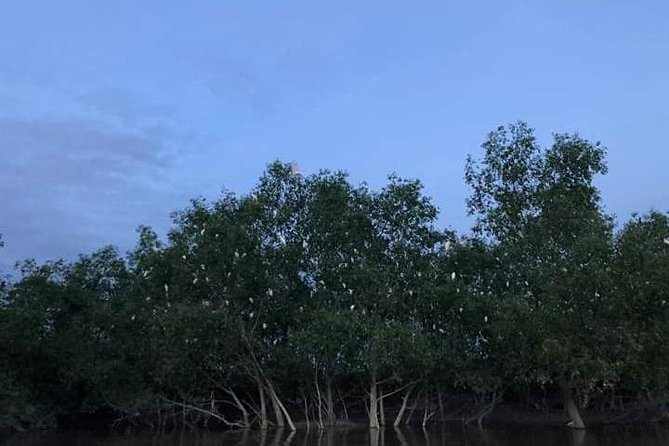 Glowing Kuala Selangor Firefly Tour - Bukit Melawati: Lighthouse Views and Monkeys Up Close