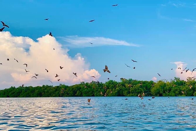 Instagrammable Kuala Selangor Sky Mirror Tour with Transfer - Lunch time reality check: included tour timing, but lunch is on you