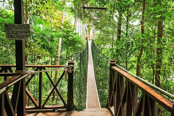 Jungle Odyssey: Unleash Your Adventure in Taman Negara! - Key moments you’ll care about