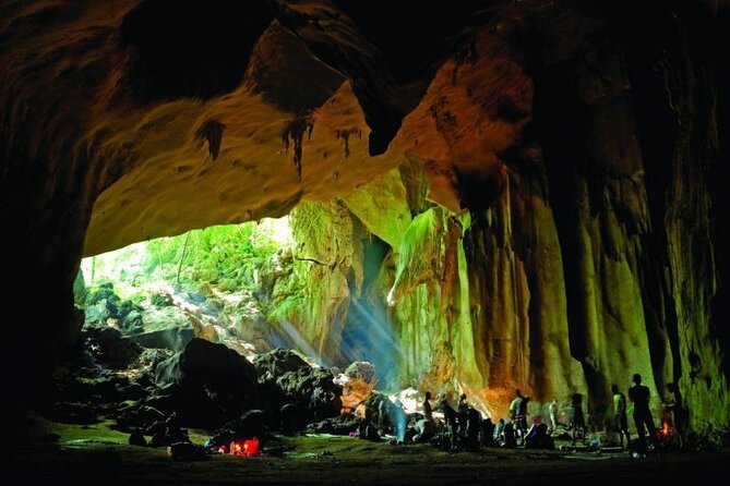 Jungle Odyssey: Unleash Your Adventure in Taman Negara! - Private tour perks: you’ll feel it from minute one