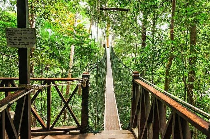 Jungle Odyssey: Unleash Your Adventure in Taman Negara! - What’s included (and why it’s good value)