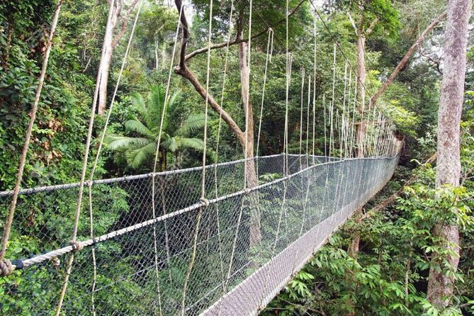 Jungle Odyssey: Unleash Your Adventure in Taman Negara! - Fitness and comfort: how to make the rainforest day enjoyable