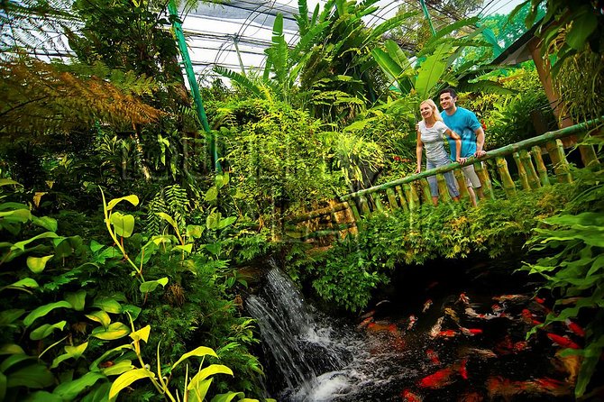KL Butterfly Park Admission with Kuala Lumpur Famous Landmarks - Sultan Abdul Samad Building: A Colonial-Era Landmark You Can Read