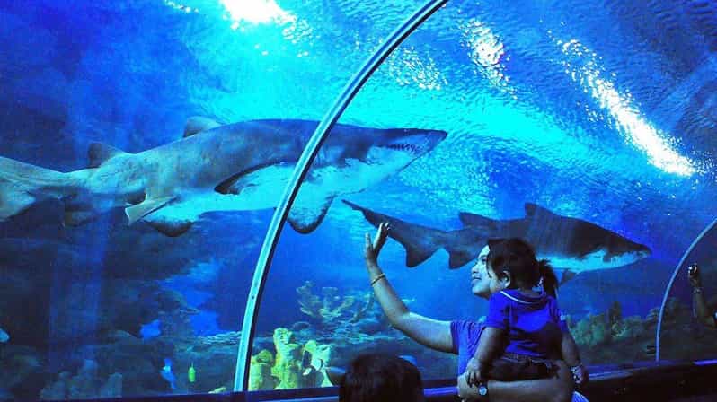 Kuala Lumpur: Aquaria KLCC Entry Ticket - Key points worth knowing before you go