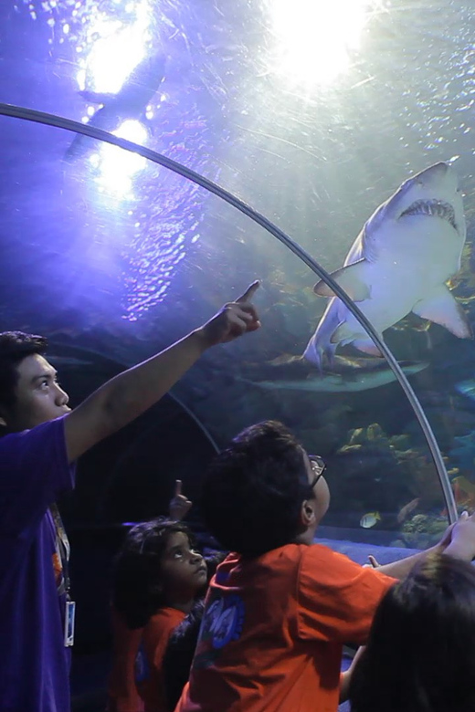 Kuala Lumpur: Aquaria KLCC Entry Ticket - Aquaria KLCC location: a glass-tunnel break right by Petronas