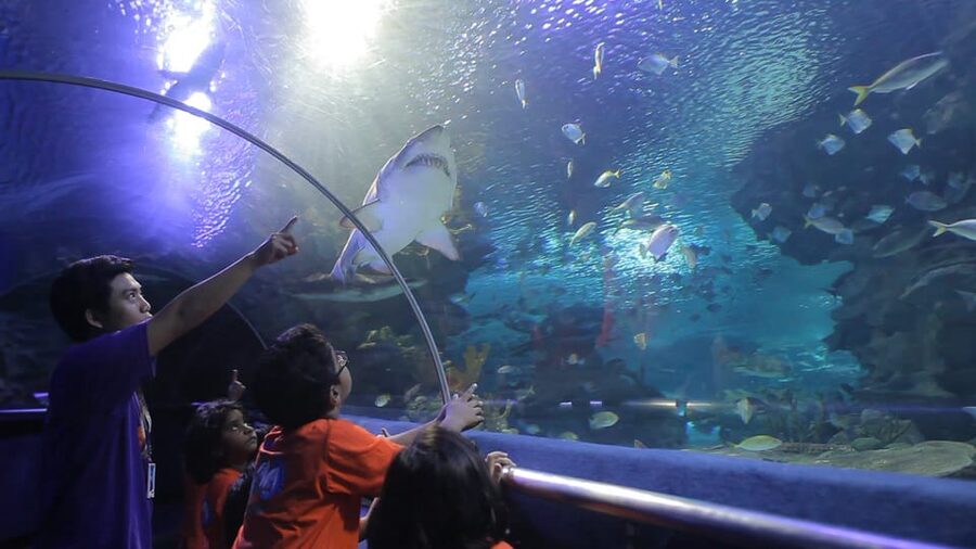 Kuala Lumpur: Aquaria KLCC Entry Ticket - Who should book Aquaria KLCC? Families, couples, and stop-in tourists