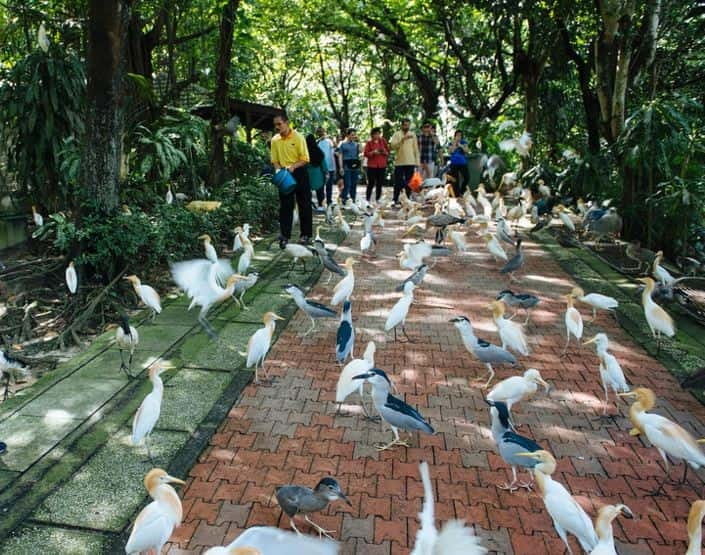 Kuala Lumpur: Bird Park, Butterfly & Garden Private Tour - Perdana Botanical Garden: a quick palate cleanser before the parks