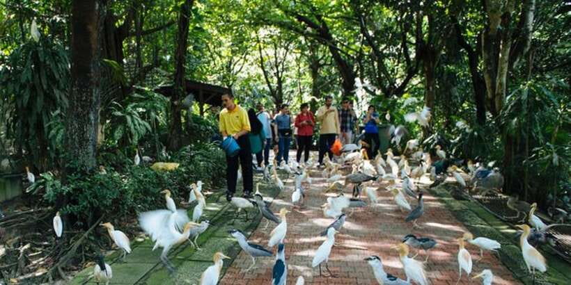 Kuala Lumpur: Bird Park, Butterfly & Garden Private Tour - Who this tour is best for (and who should reconsider)