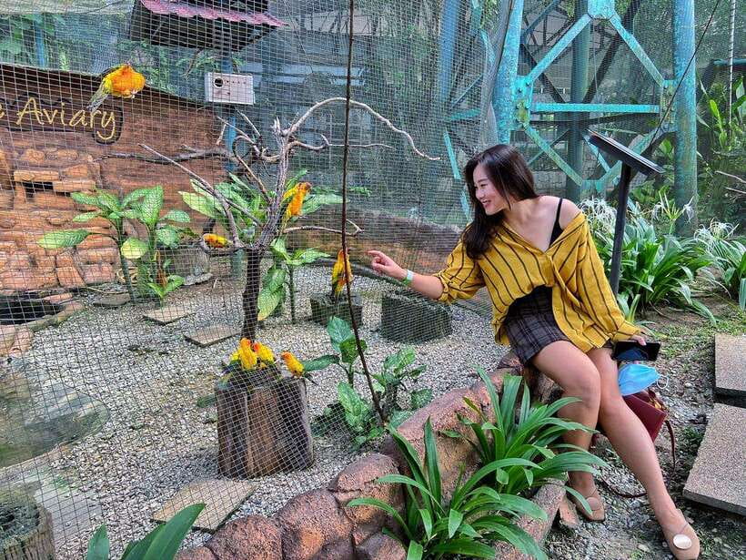 Kuala Lumpur: Bird Park Day Ticket & 1-Way Transfer - How long should you plan? Give yourself real time