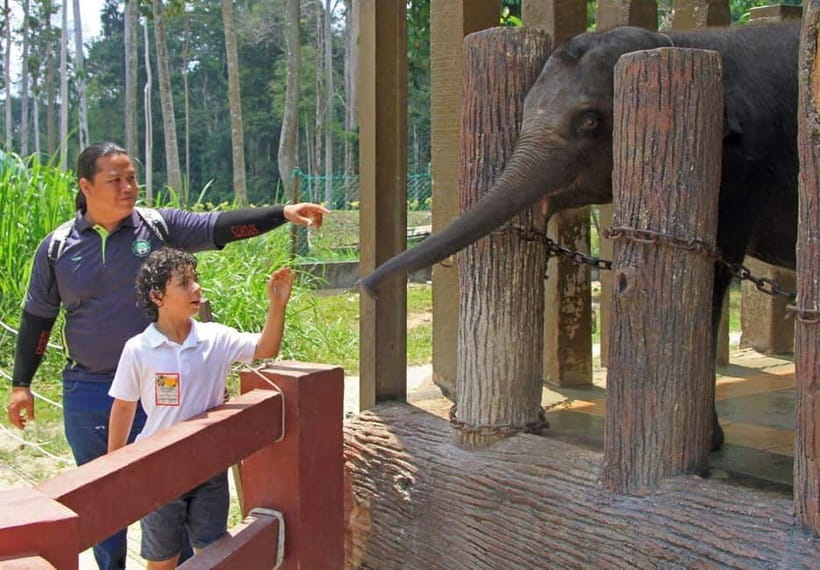 Kuala Lumpur Day Tour: Batu Caves & Elephant Sanctuary - Inside Temple Cave: shrines, carvings, and limestone drama