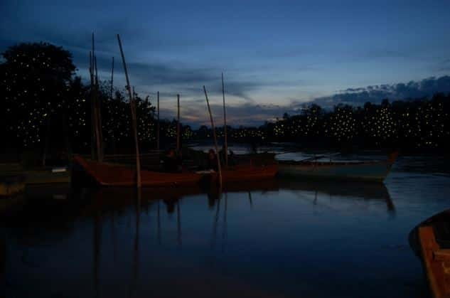 Kuala Lumpur: Fireflies & Blue Tears Tour with Seafood Meal - Key things that make this tour worth your evening