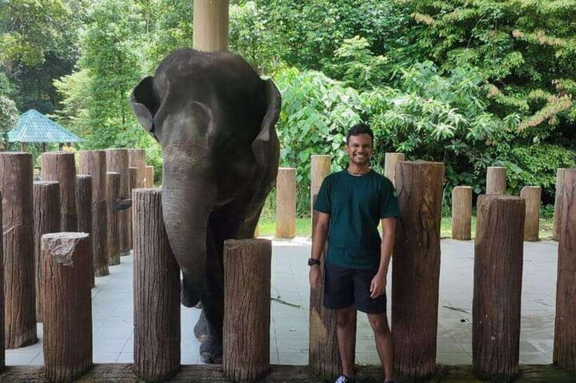 Kuala Lumpur: Kuala Gandah and Batu Caves Private Trip - Can you bathe with the elephants? What this trip does and doesn’t include