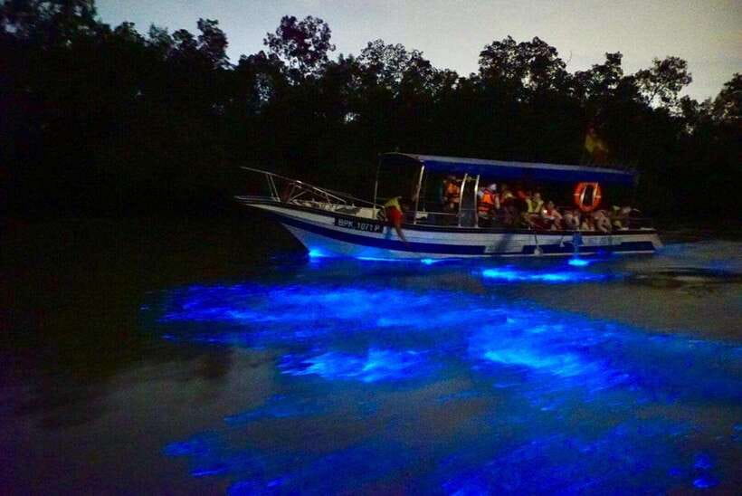 Kuala Lumpur: Kuala Selangor Fireflies and Blue Tears Tour - What Can Affect Your Experience: Weather, Water, and Timing
