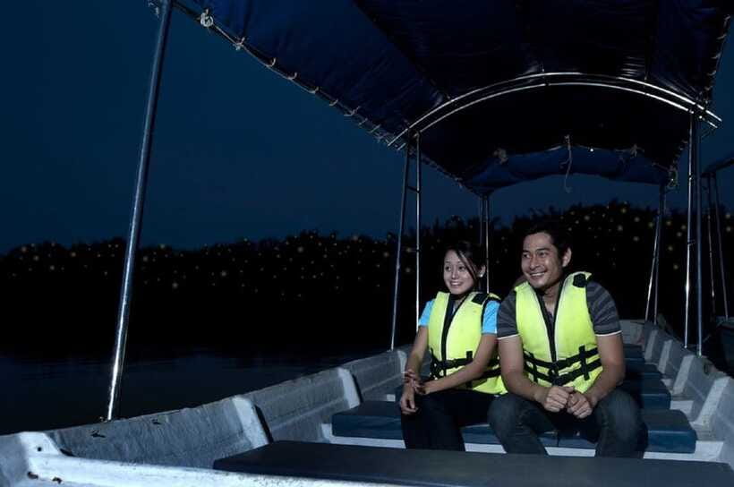 Kuala Lumpur: Kuala Selangor Firefly Tour and Dinner - Seafood Dinner Near the Fishing Village: What You Can Expect