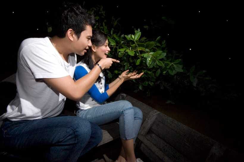 Kuala Lumpur: Kuala Selangor Firefly Tour and Dinner - Price and Value: Is $106 a Good Deal for This 6-Hour Run?